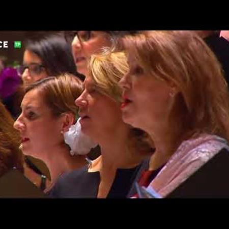 Don Manolito - Ensalada Madrileña